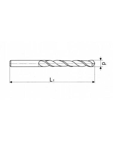 Τρυπάνι σκυροδέματος με διπλή έλικα 25 x 260 mm